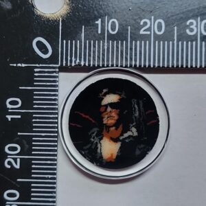 Terminator Coin - 3.57g
